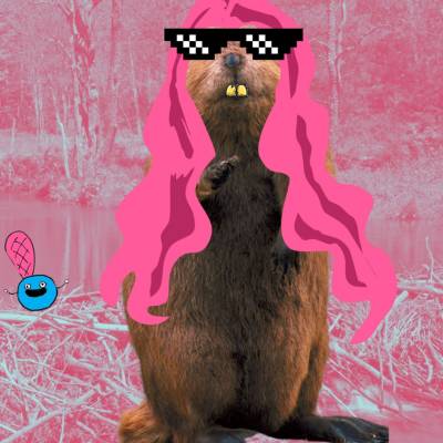 Sticky Minaj Contestant for Beaver Queen