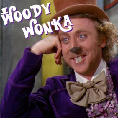 Woody Wonka says YOU LOSE